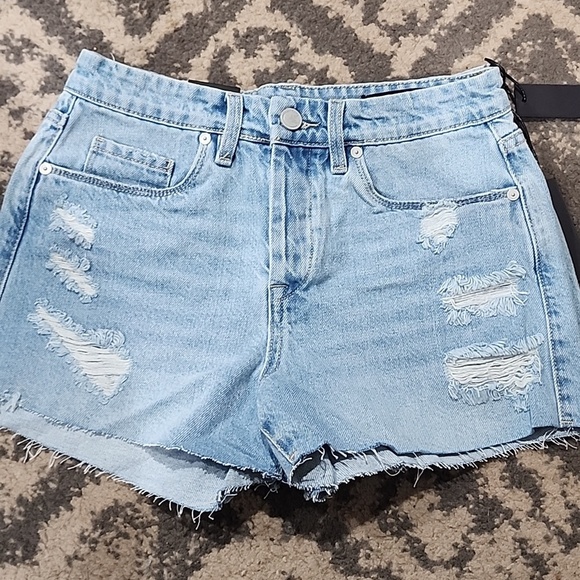 Pants - BLANK NYC The Barrow Denim Vintage High Rise Shorts  Cut-offs, Distressed NWT